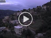 WEB Camera Videos